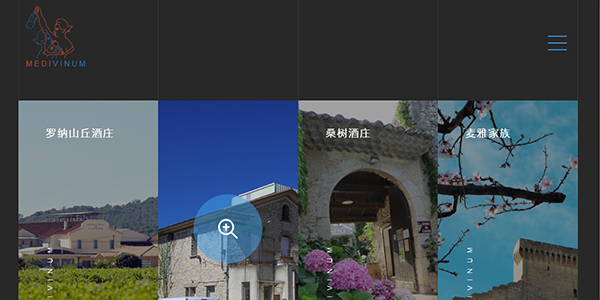 Archived Medivinum brand website screenshot.